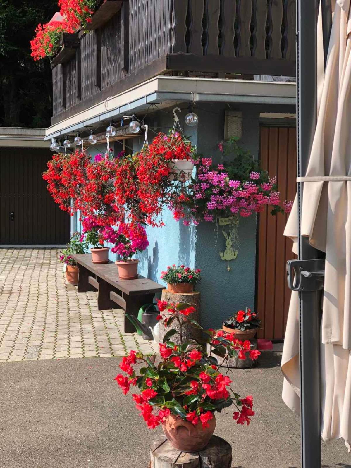 Haus-Erzberg Bed and Breakfast Vordernberg Buitenkant foto