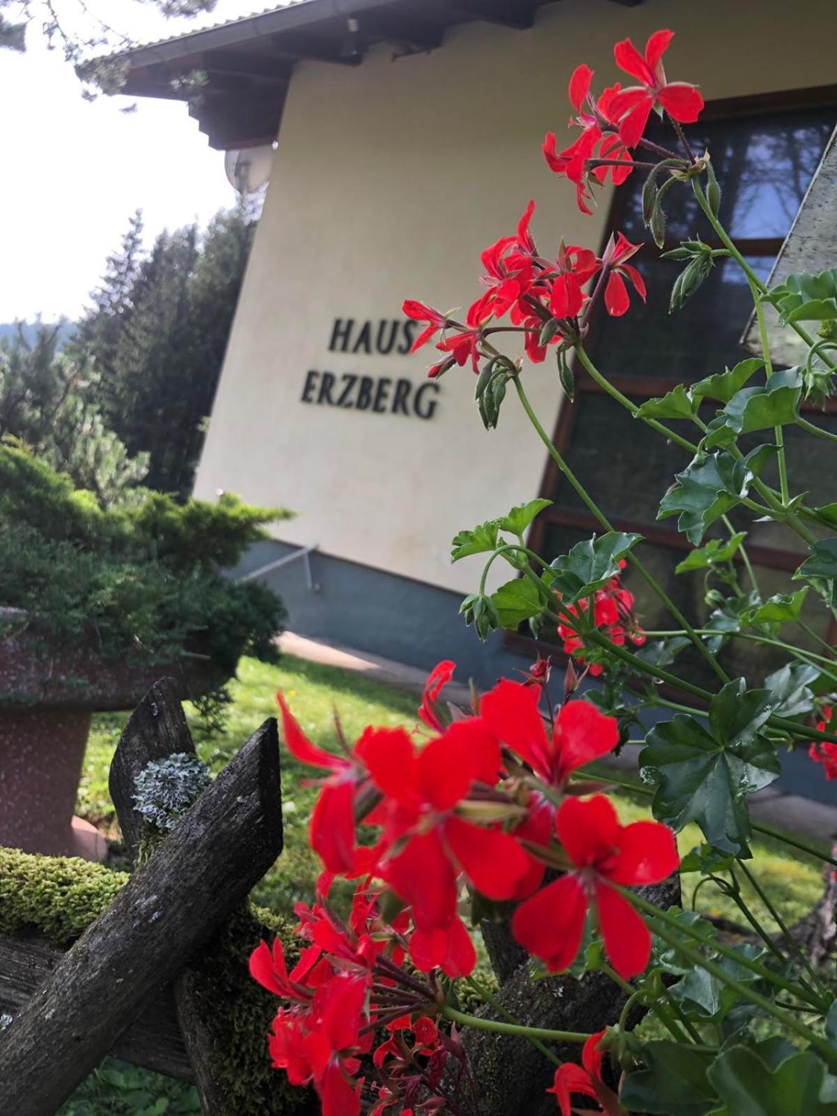 Haus-Erzberg Bed and Breakfast Vordernberg Buitenkant foto